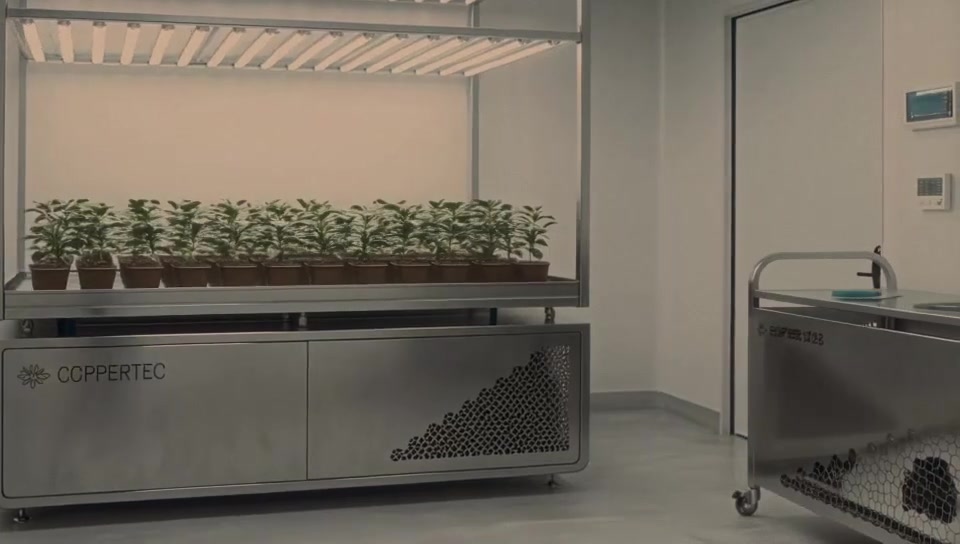Grow room: a two-tier cultivation table under horticultural light